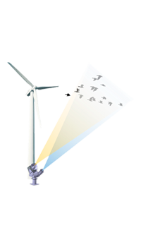 Bird strike Prevention